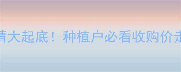 图片 🌾新玉米价格行情大起底！种植户必看收购价走势+市场分析🌾1