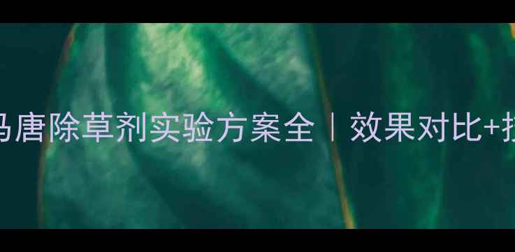 图片 🌾最新数据水稻田马唐除草剂实验方案全｜效果对比+技术要点+避坑指南2