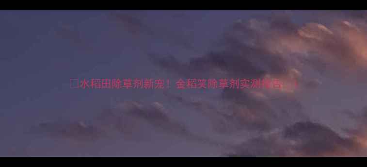 图片 🌾水稻田除草剂新宠！金稻笑除草剂实测报告🌾1