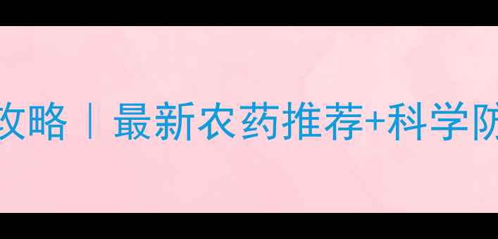 图片 🌾水稻瘟病防治全攻略｜最新农药推荐+科学防治技巧（附图解）