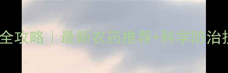 图片 🌾水稻瘟病防治全攻略｜最新农药推荐+科学防治技巧（附图解）2