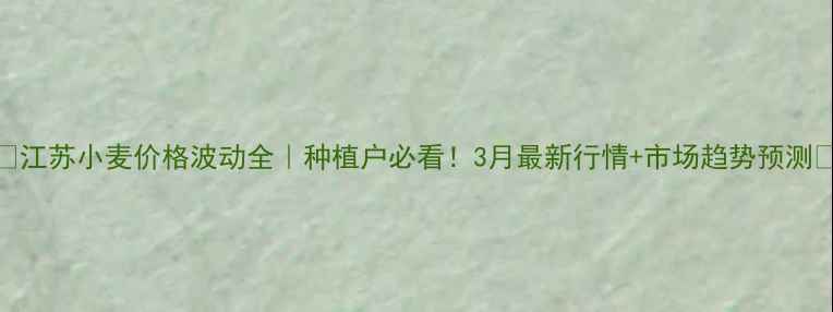 图片 🌾江苏小麦价格波动全｜种植户必看！3月最新行情+市场趋势预测🔥