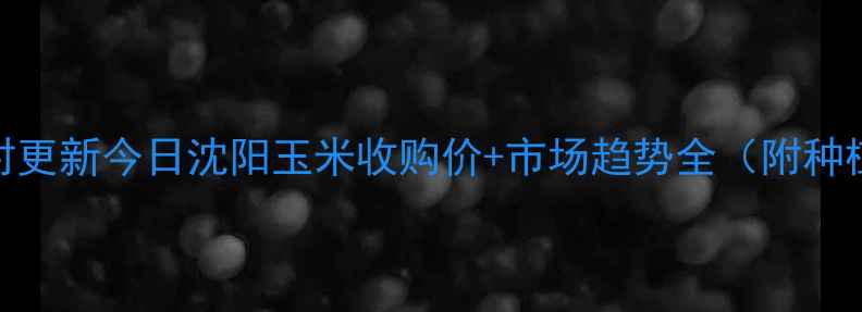 图片 🌾沈阳玉米价格实时更新今日沈阳玉米收购价+市场趋势全（附种植户必看应对策略）