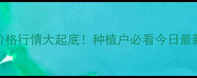 图片 🌾河北玉米价格行情大起底！种植户必看今日最新走势分析🌾