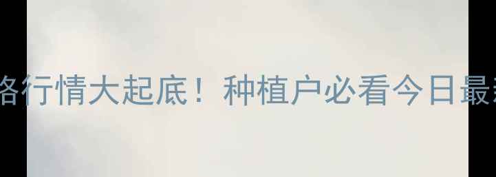 图片 🌾河北玉米价格行情大起底！种植户必看今日最新走势分析🌾1