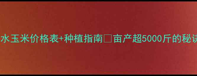 图片 🌾河北衡水玉米价格表+种植指南💰亩产超5000斤的秘诀在这！1