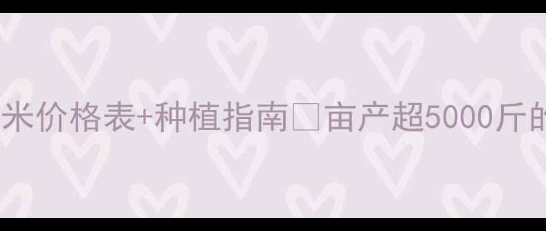 图片 🌾河北衡水玉米价格表+种植指南💰亩产超5000斤的秘诀在这！2