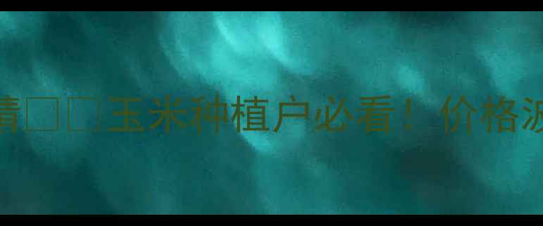 图片 🌾济南商河玉米价格最新行情🌾💰玉米种植户必看！价格波动+政策解读+销售渠道全✨