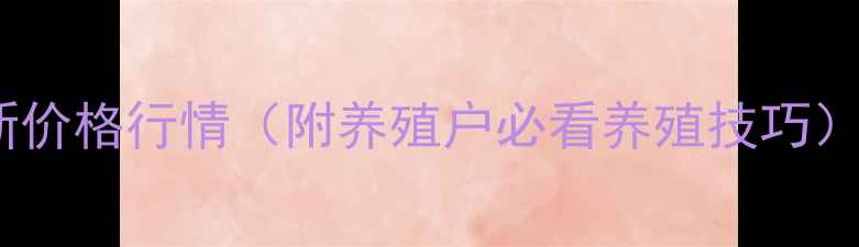 图片 🌾海城猪最新价格行情（附养殖户必看养殖技巧）9月更新！🐷