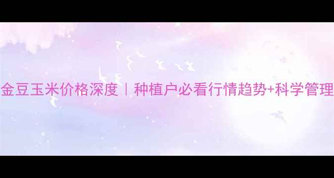 图片 🌾深州金豆玉米价格深度｜种植户必看行情趋势+科学管理指南🌾