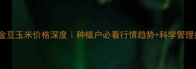 图片 🌾深州金豆玉米价格深度｜种植户必看行情趋势+科学管理指南🌾1