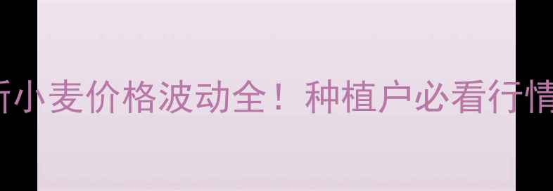 图片 🌾湖南新小麦价格波动全！种植户必看行情报告💰2