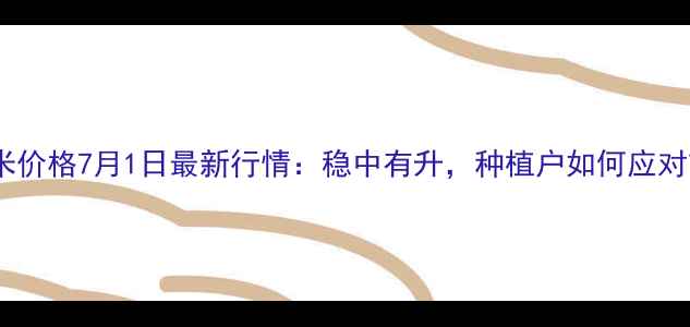 图片 🌾滦南县玉米价格7月1日最新行情：稳中有升，种植户如何应对市场波动？1