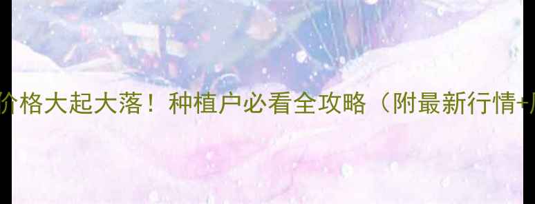 图片 🌾滨州棉花价格大起大落！种植户必看全攻略（附最新行情+风险提示）1