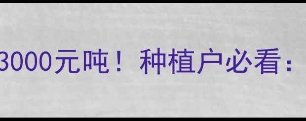图片 🌾玉米价格暴涨突破3000元吨！种植户必看：波动原因+应对策略1