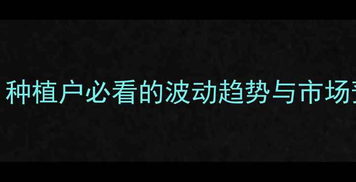图片 🌾玉米价格最新行情：种植户必看的波动趋势与市场预测（附种植建议）🌾