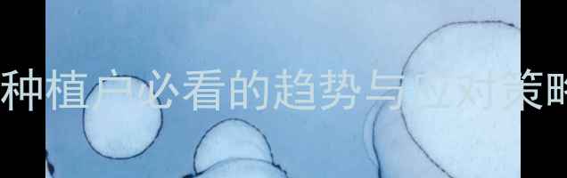 图片 🌾玉米价格最新行情：种植户必看的趋势与应对策略（附种植补贴政策）1