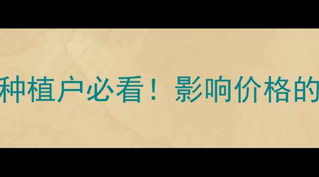 图片 🌾玉米价格波动全｜种植户必看！影响价格的因素+未来趋势预测1