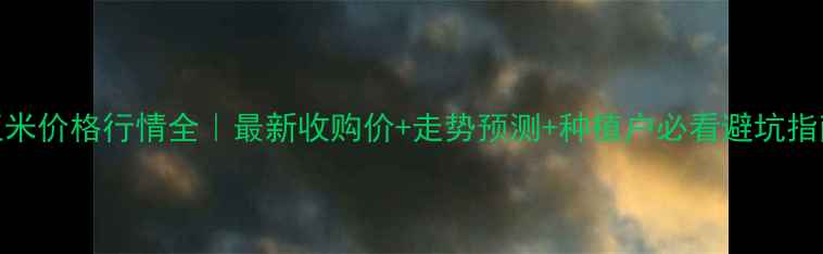 图片 🌾玉米价格行情全｜最新收购价+走势预测+种植户必看避坑指南💰