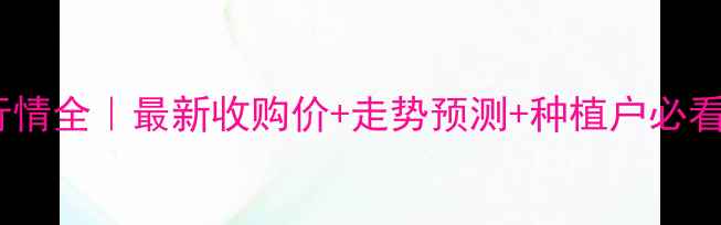 图片 🌾玉米价格行情全｜最新收购价+走势预测+种植户必看避坑指南💰2