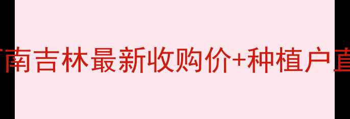 图片 🌾玉米价格行情大！山东河南吉林最新收购价+种植户直联方式，附联系方式清单2