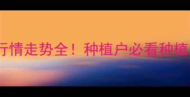 图片 🌾玉米价格行情走势全！种植户必看种植与销售指南1