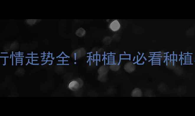 图片 🌾玉米价格行情走势全！种植户必看种植与销售指南2