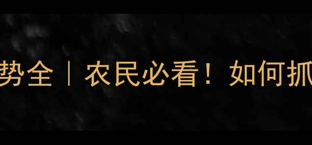 图片 🌾玉米价格走势全｜农民必看！如何抓住市场机遇？