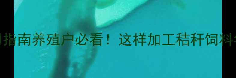 图片 🌾玉米秸秆饲料高效利用指南养殖户必看！这样加工秸秆饲料年省万斤粮，效益翻倍！