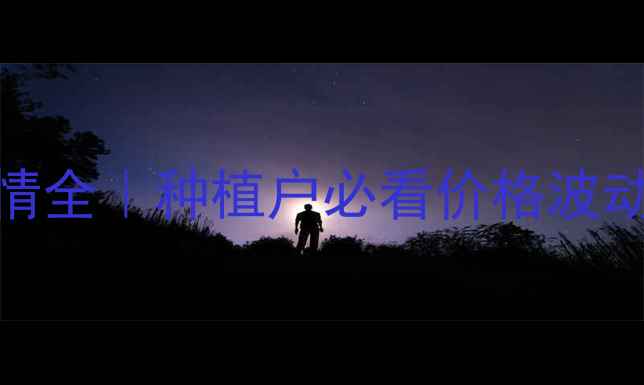 图片 🌾玉米须行情全｜种植户必看价格波动与效益指南