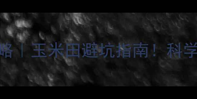 图片 🌾甲乙莠除草剂使用全攻略｜玉米田避坑指南！科学配比+防护技巧一篇说清1