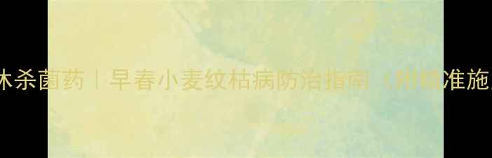 图片 🌾盈辉双休杀菌药｜早春小麦纹枯病防治指南（附精准施用方案）2