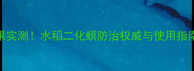 图片 🌾硫虫酰胺农药效果实测！水稻二化螟防治权威与使用指南（附真实案例）🌾