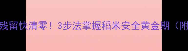 图片 🌾稻田农药残留快清零！3步法掌握稻米安全黄金期（附权威数据）