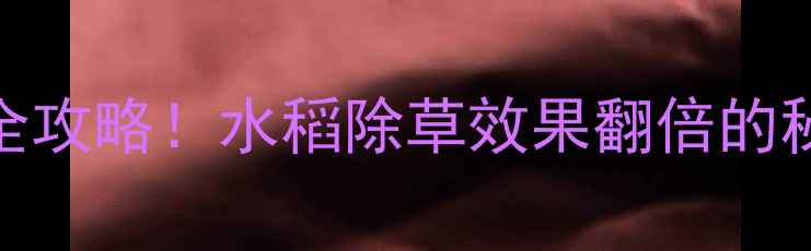 图片 🌾稻跃除草剂使用全攻略！水稻除草效果翻倍的秘密，农民必看！🌾