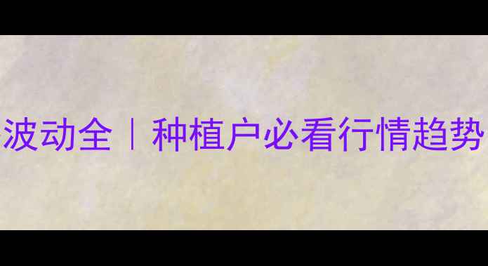 图片 🌾米糠价格波动全｜种植户必看行情趋势与应对策略