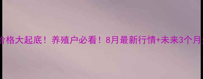 图片 🌾米糠粕价格大起底！养殖户必看！8月最新行情+未来3个月走势预测1