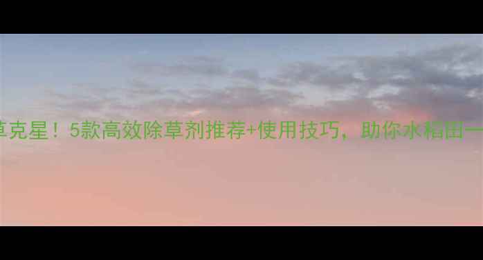 图片 🌾老稗草克星！5款高效除草剂推荐+使用技巧，助你水稻田一季丰收2