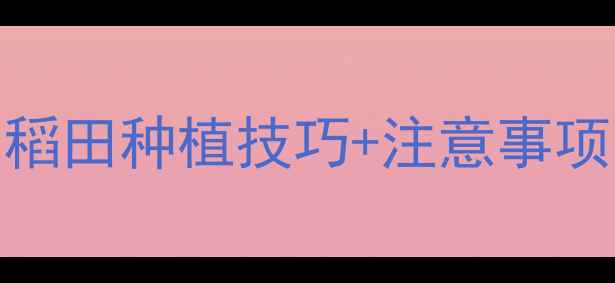 图片 🌾莠灭净使用全攻略：南方水稻田种植技巧+注意事项（附配比表）｜农资人必看！