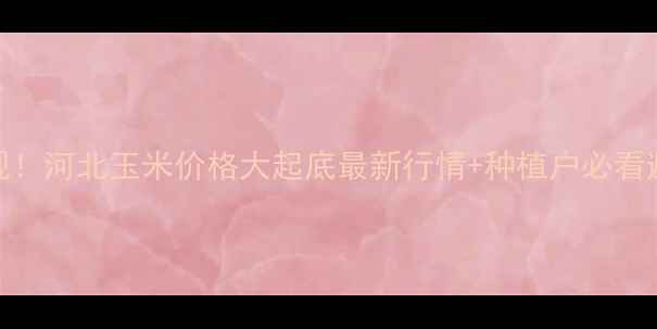 图片 🌾速来围观！河北玉米价格大起底最新行情+种植户必看避坑指南🌾