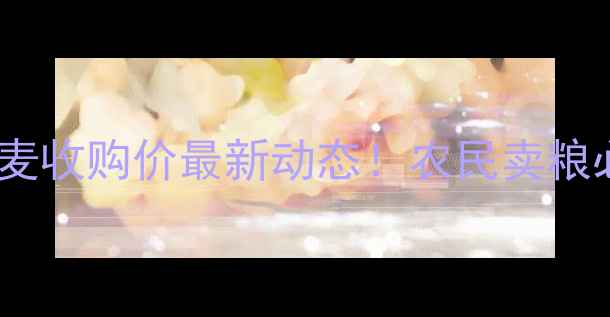 图片 🌾邢台地区小麦收购价最新动态！农民卖粮必看全攻略💰2