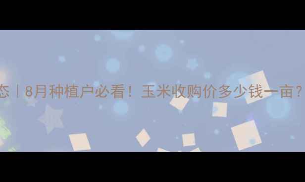 图片 🌾邯郸玉米价格最新动态｜8月种植户必看！玉米收购价多少钱一亩？附政策解读+种植技巧2