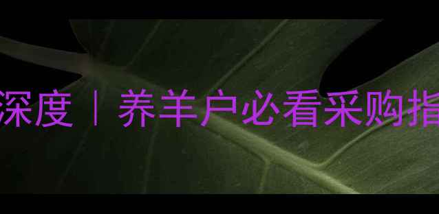 图片 🌾青储羊饲料价格深度｜养羊户必看采购指南+价格波动趋势1