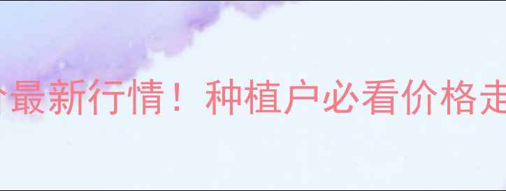 图片 🌾青冈玉米收购价最新行情！种植户必看价格走势+种植技术全💰