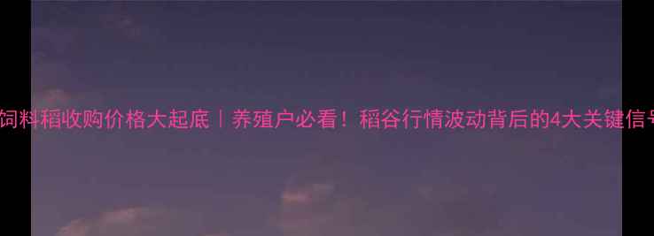 图片 🌾饲料稻收购价格大起底｜养殖户必看！稻谷行情波动背后的4大关键信号1