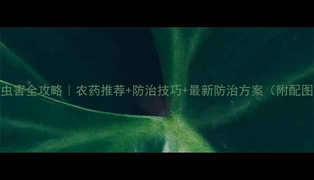 图片 🌾高粱虫害全攻略｜农药推荐+防治技巧+最新防治方案（附配图建议）