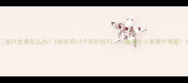 图片 🌾麦叶发黄怎么办？5种农药+3个养护技巧，一遍搞定小麦黄叶难题！2