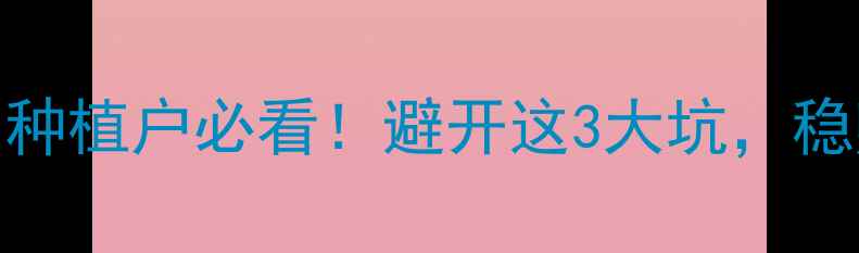 图片 🌾黄豆价格预测｜种植户必看！避开这3大坑，稳赚每亩超5000元🌱