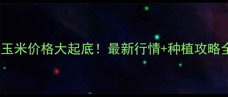 图片 🌾黑龙江友谊县玉米价格大起底！最新行情+种植攻略全，农民必看！2