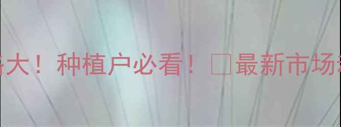 图片 🌾齐河县玉米行情价格大！种植户必看！📈最新市场动态+种植攻略全公开2